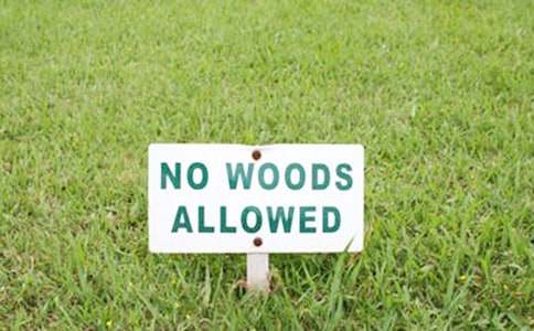 ��I(y��)����ͨ��12ƪ