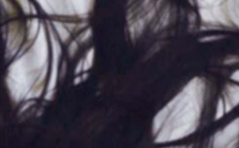 (��)���^�l(f��)����15ƪ