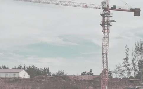 ��ľ���̌������Y