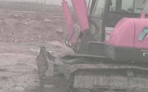 �ھ�C(j��)�O(sh��)�����U��ͬ