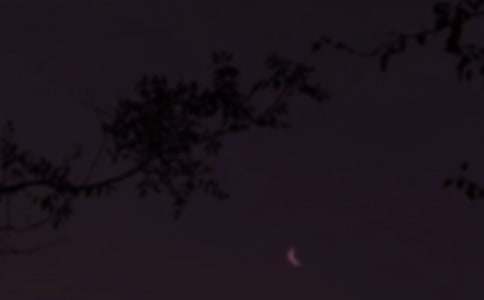 ���������İ������T��