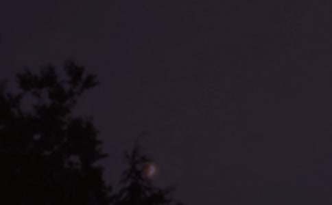 �������������Z(y��)�R��100�侫�x