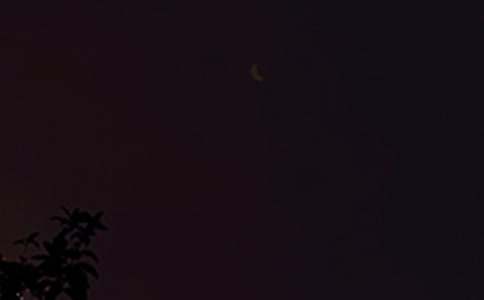 �P(gu��n)�ڂ�(g��)�������İ���ȫ55��