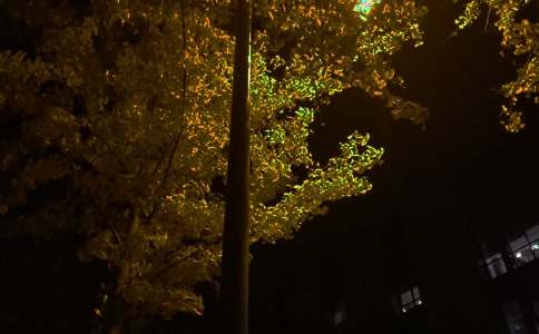 ���]�����İ���ȫ70�侫�x