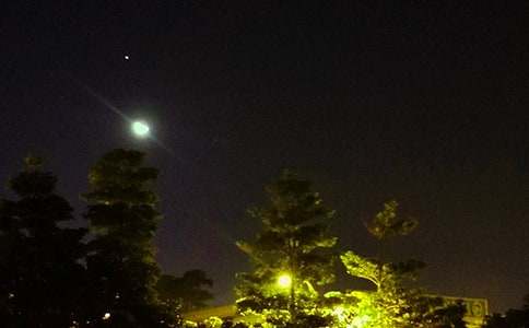 �������������Z��ȫ��ͨ��175�䣩