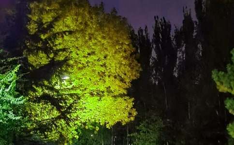 ��(j��ng)�䂀(g��)�������İ�85�侫�x