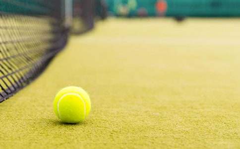 �W������Ӗ��������