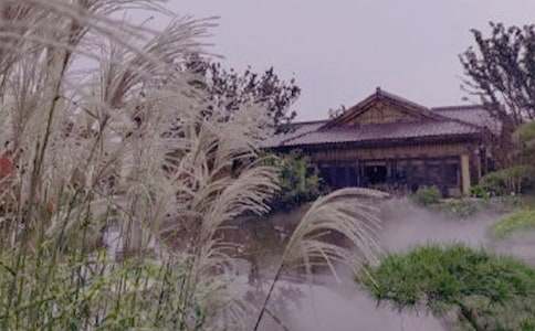 �ݜ�Ȫ����