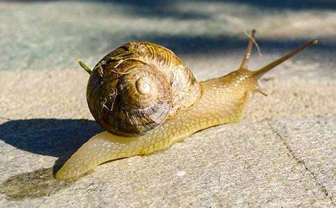 ΁ţ�Ī����u�n��