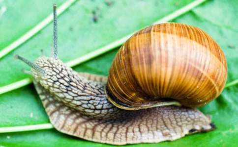 ��С΁ţ���̌W(xu��)�O(sh��)Ӌ(j��)