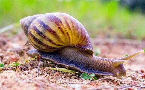 �x΁ţ��ɭ���и�