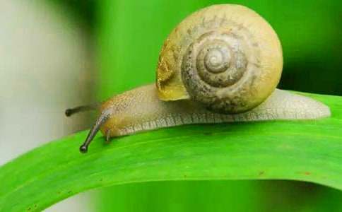 ΁ţ������