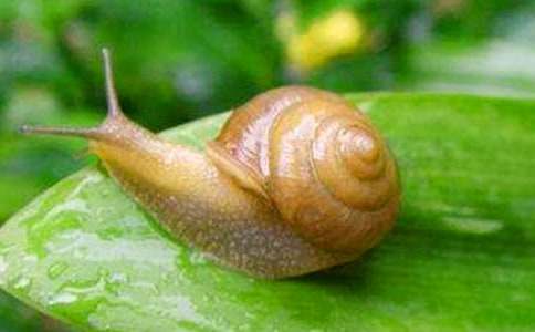 �P(gu��n)��΁ţ����