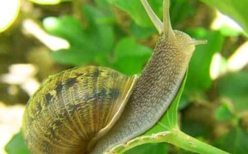 ���ˇ�g(sh��)�ֹ���ӡ��ɐ۵�΁ţ��΢�̰�