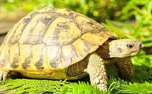 �P(gu��n)���ҵČ���������ļ��\��ƪ