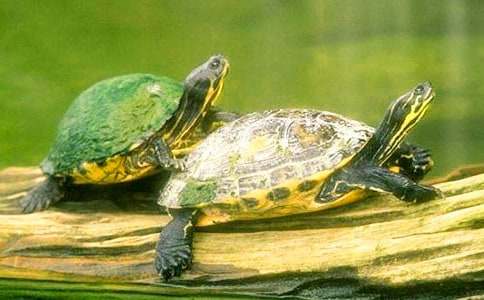 �P(gu��n)���ҵČ���������ļ�����ƪ