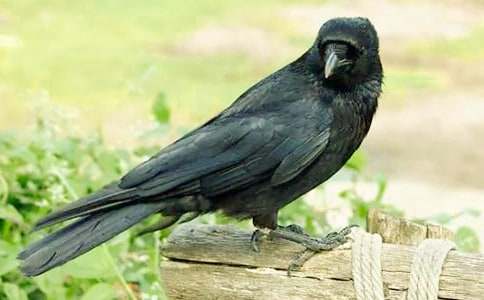 �����f��ˮ���u�n�弯��8ƪ