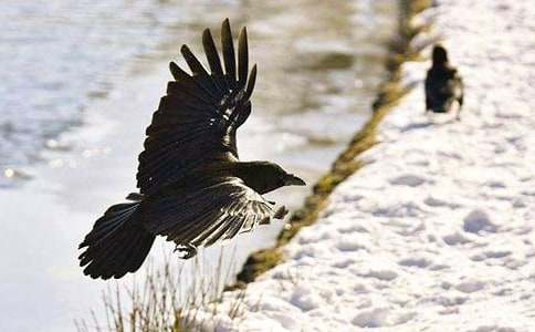 ��ϲ�o��С���f�u(p��ng)�n��(���T(m��n))