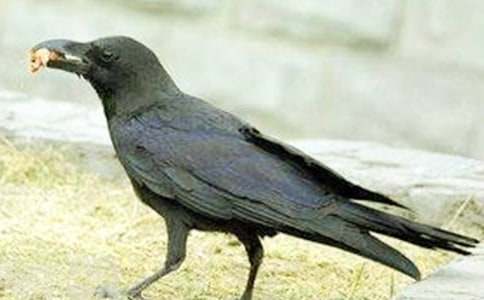 �����f��ˮ�����и�