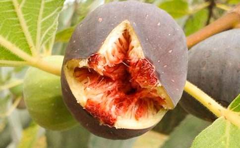 �o�������ġ�����15ƪ��