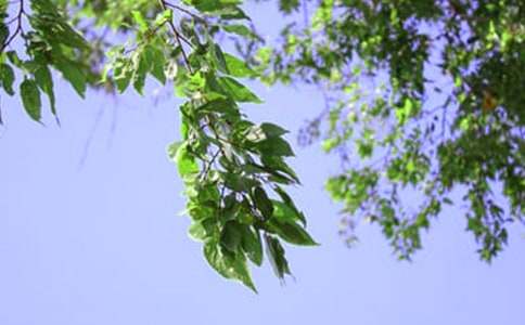 ��(j��ng)�䂀���簲�İ���ȫ90��