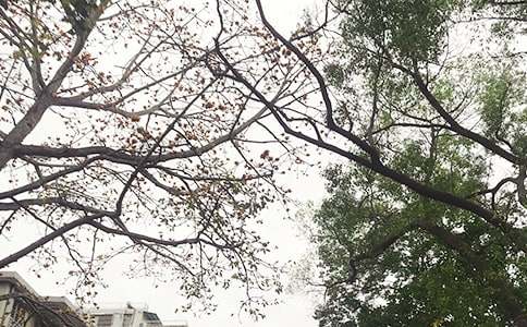 �P(gu��n)���������簲�İ�30�侫�x