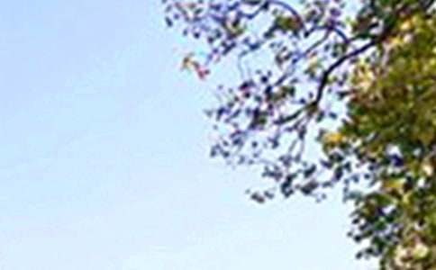 ��(j��ng)��Ψ���簲�İ���ͨ��90�䣩