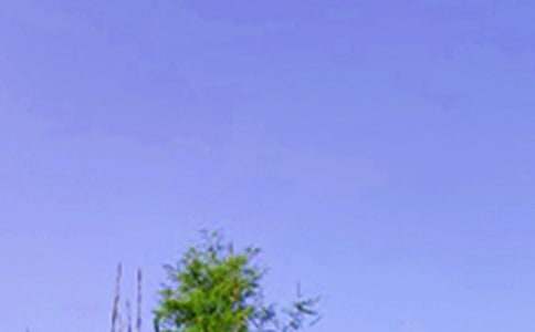 �P(gu��n)���������簲�İ�80�侫�x