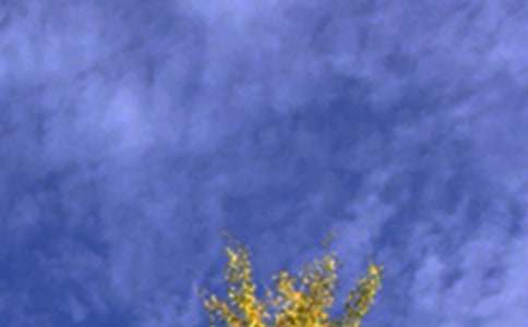 Ψ���簲�İ��R�������x70�䣩