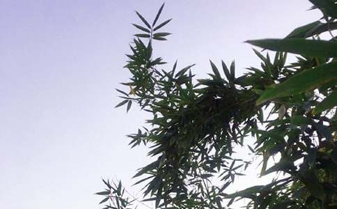 ��(g��)���簲�İ���ȫ��ͨ��50�䣩