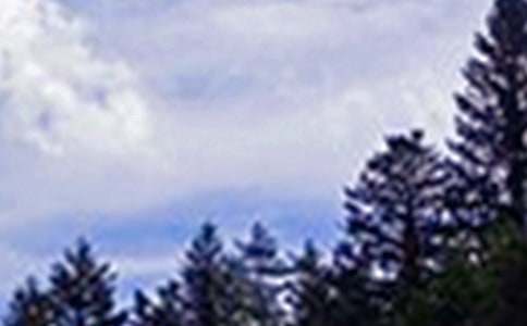 �P�ڄ�־�簲�İ��R�������x80�䣩