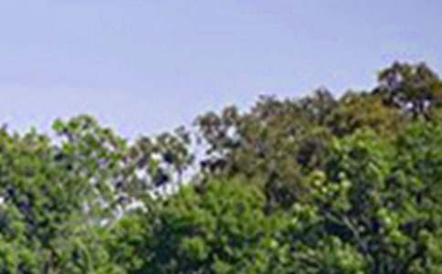 ��ܰ�簲���Z80��