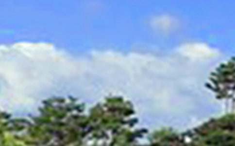 �����簲�İ������x60�䣩