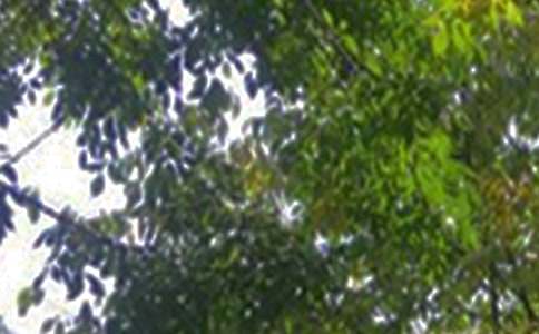 ��(j��ng)�䂀(g��)���簲�İ��R��60�侫�x