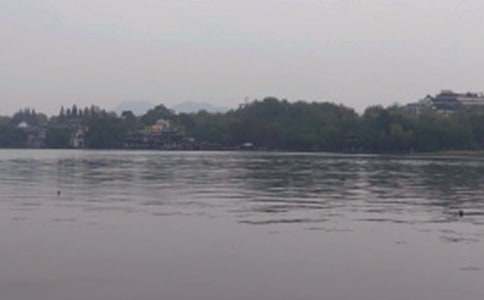 �������������ι��Խ�B