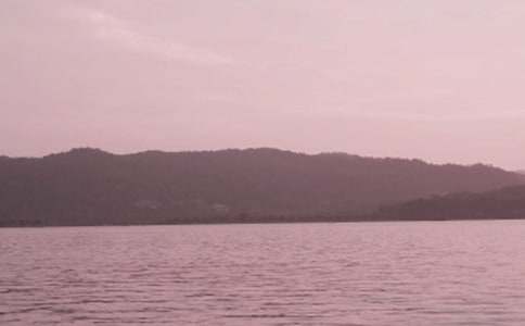 ������������ϵ����ʳ����