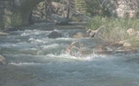 СϪ�����������Ĵ�ȫ(5ƪ)