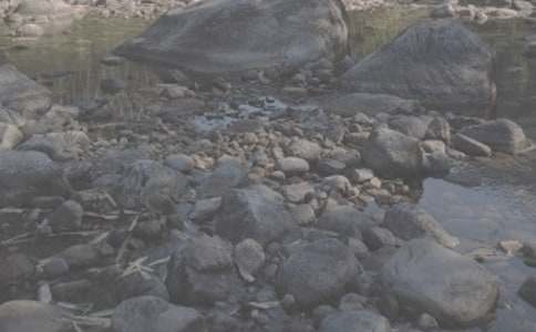 СϪ���ĉ�(m��ng)���ҵĉ�(m��ng)