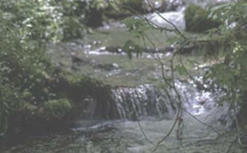 ��СϪ���ĸ衷�Ľ̌W(xu��)��(sh��)�