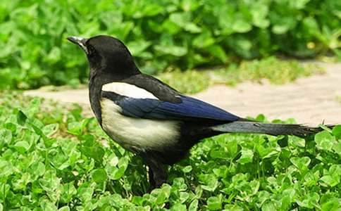 ����(sh��)�ã�����(sh��)��ϲ�o���̌W(xu��)�O(sh��)Ӌ(j��)