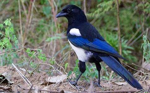 �����ϵ�ϲ�o�n��˼