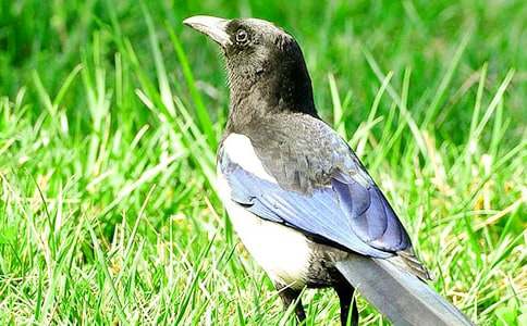 �����ϲ�o���̌W�OӋ���A��15ƪ��