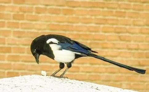 �����ϲ�o���̌W(xu��)�O(sh��)Ӌ(j��)����