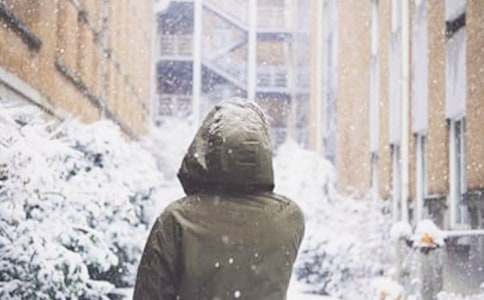 ��ѩ���Ψ���İ�