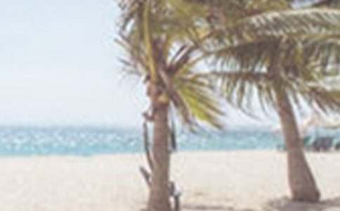 ��ʿ���b�����ļ�