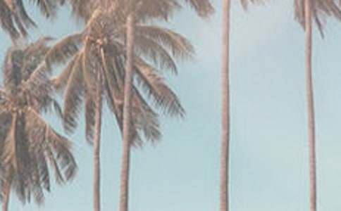 �ļ��ǽk��������-����