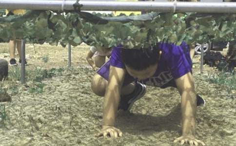 �����T������I������ƪ