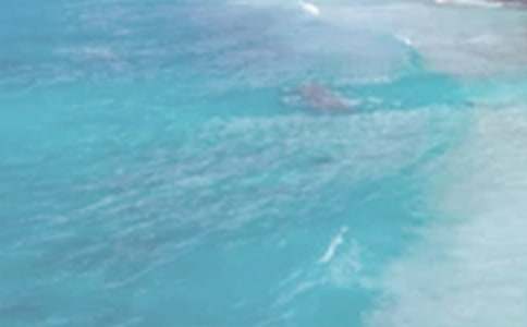 �����ս^�䡷�̌W(xu��)�O(sh��)Ӌ(j��)���؂䣩