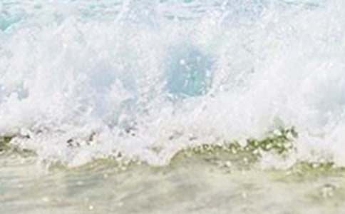 ������İ�(15ƪ)