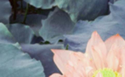 �����B(y��ng)��֪�R��ȫ